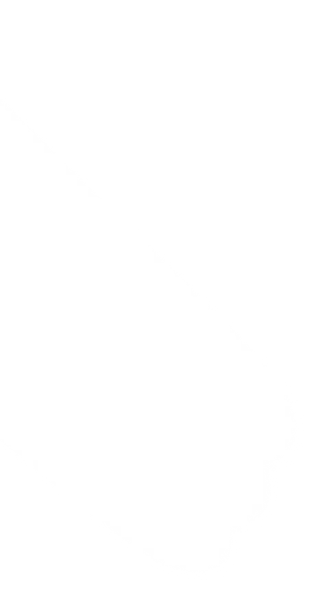 b1-bg-shape-1