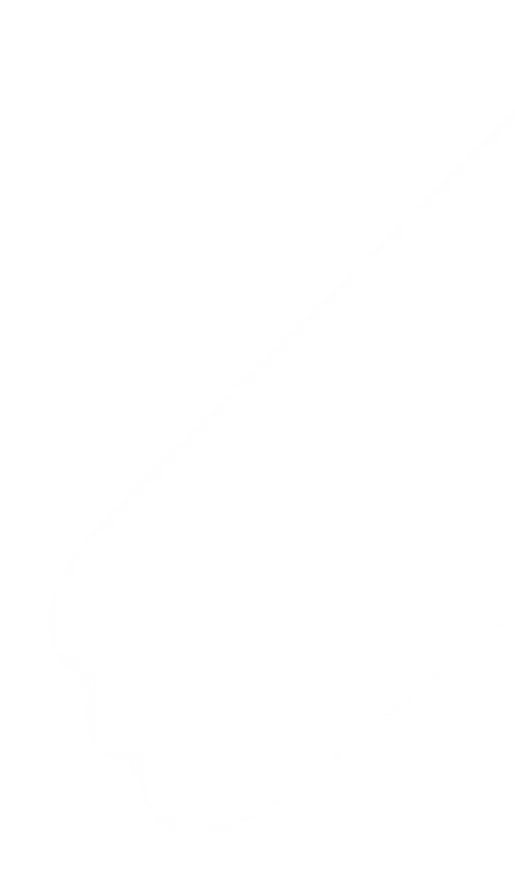 b1-bg-shape-2