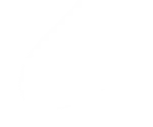 h5-bg-shape-2